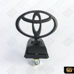 T31B#